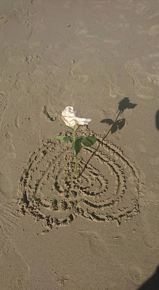 15894822_1153763971337459_1681402861018830100_n