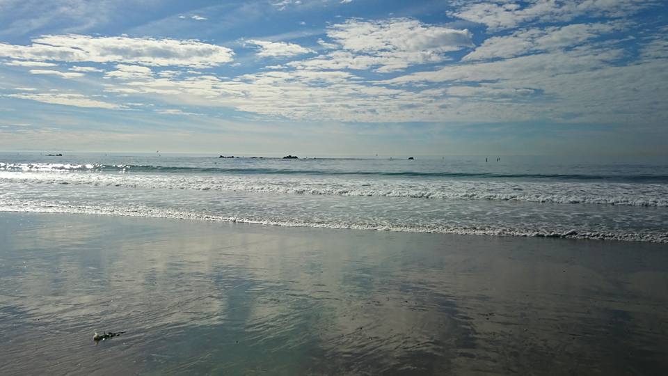 15895008_1153752261338630_8777196231422866375_n