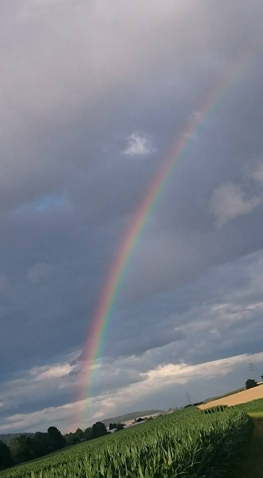 19598530_1313079358739252_1408665906081605352_n